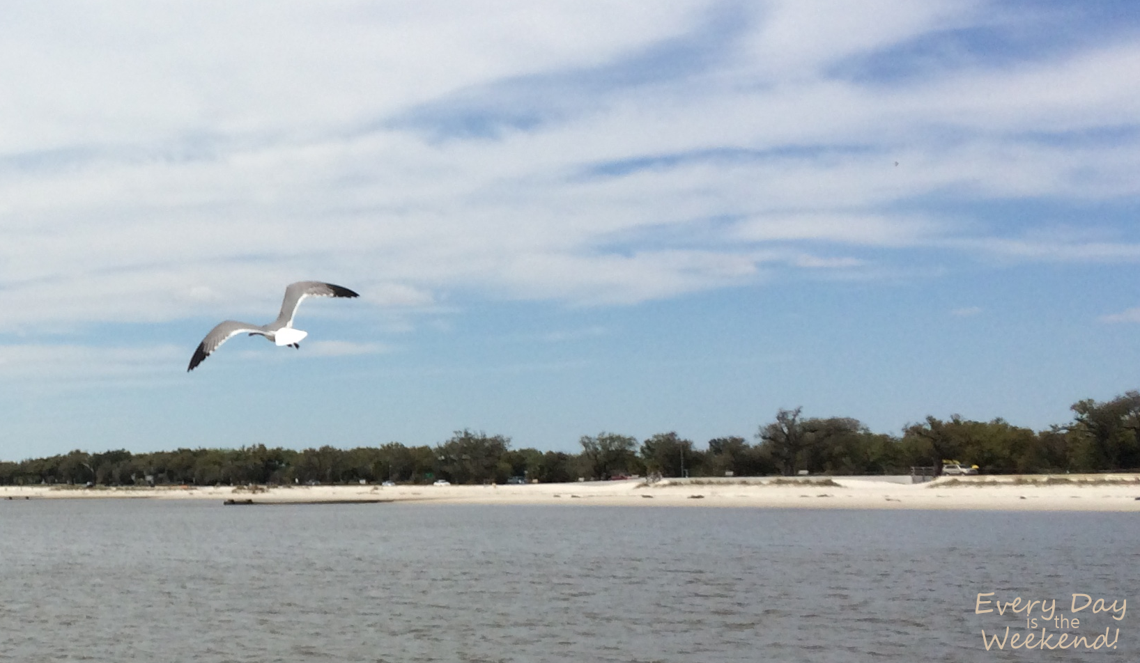 Spring at the Coast @ Every Day is the Weekend!