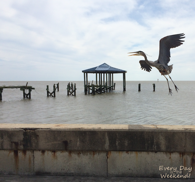 Spring at the Coast @ Every Day is the Weekend!