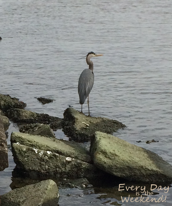 Spring at the Coast @ Every Day is the Weekend!