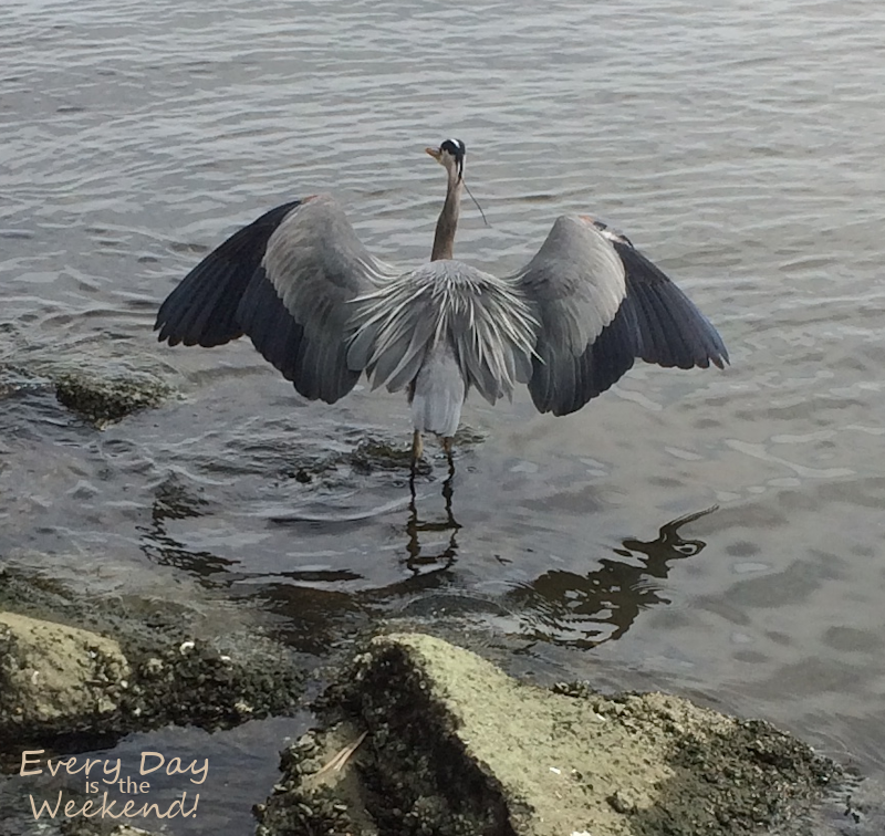 Spring at the Coast @ Every Day is the Weekend!