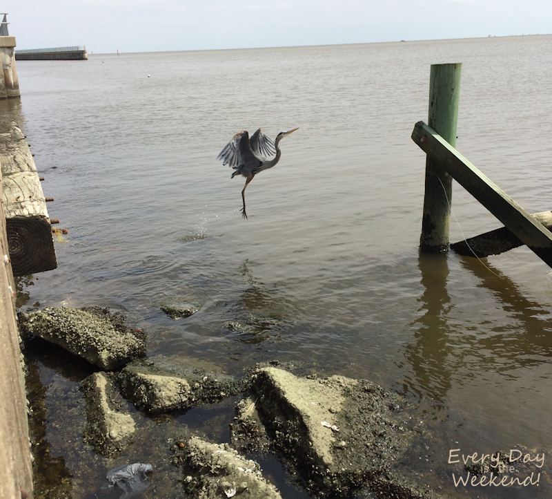 Spring at the Coast @ Every Day is the Weekend!