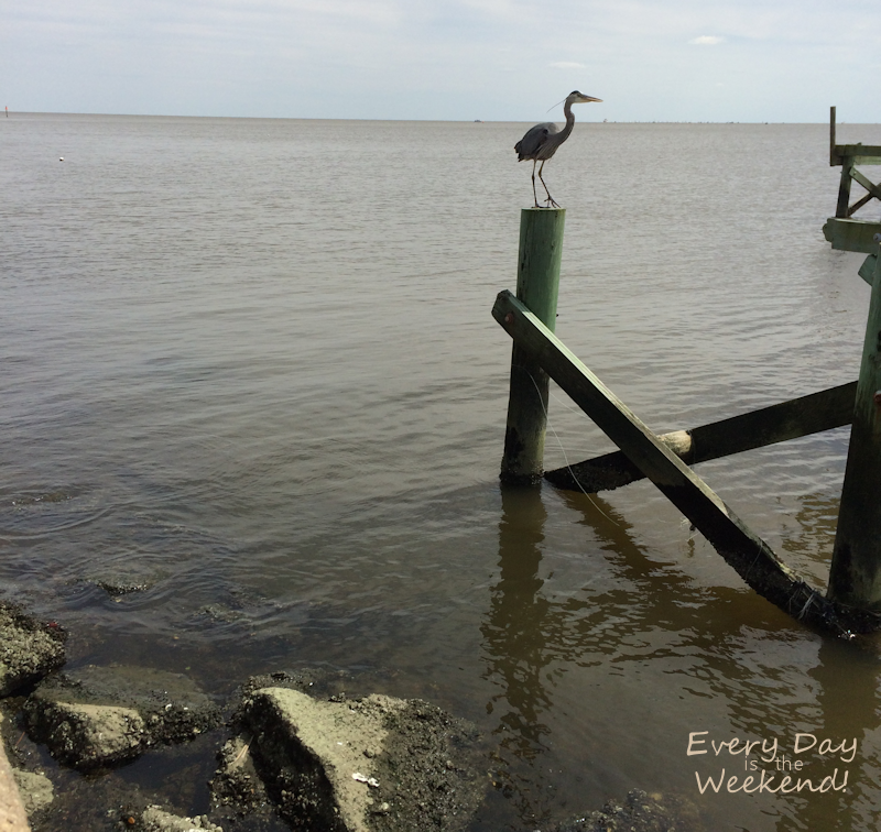 Spring at the Coast @ Every Day is the Weekend!